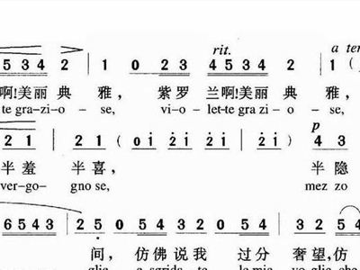 紫罗兰简谱_紫罗兰永恒花园ed简谱