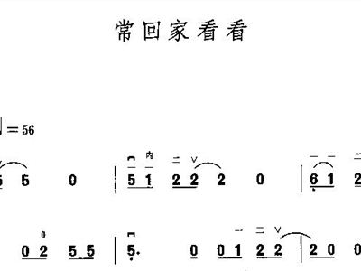 常回家看看口琴曲谱_常回家看看曲谱