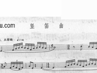 竖竖笛简谱怎么看_竖笛简谱(3)