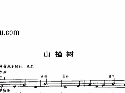 山楂树歌曲谱大全_歌曲山楂树图片大全(3)