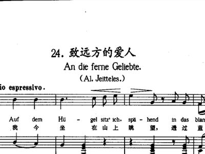 情人钢简谱_情人简谱蔡徐坤