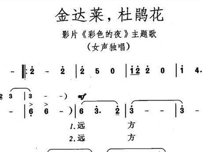 金达莱简谱_金达莱盛开的地方简谱(2)