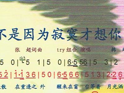 不是寂寞才想你简谱_不是因寂寞才想你图片(3)