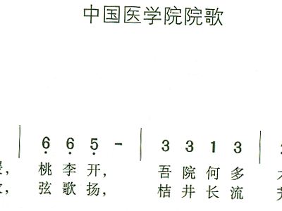简谱的院子_农村院子(2)