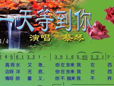 简谱总有一天等到你_总有一天等到你图片