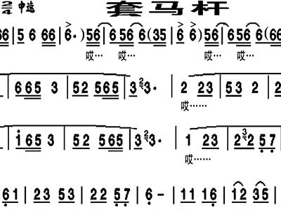 套马杆曲谱_二胡套马杆指法曲谱(5)