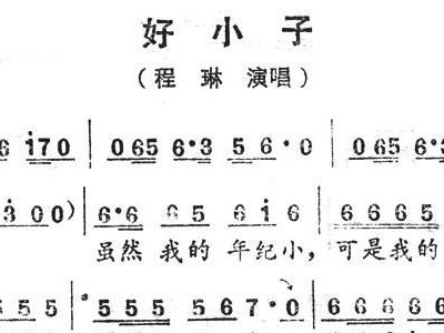 小子简谱_龙拳小子主题曲简谱