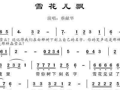 雪花儿飘曲谱_陶笛曲谱12孔