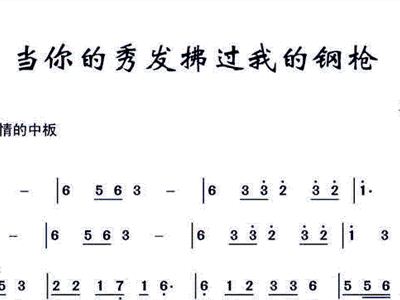 当你的秀发拂过简谱_钢枪拂过姑娘秀发图片(3)