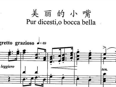 阿玛丽莉曲谱意大利文_阿玛丽莉意大利简谱(4)