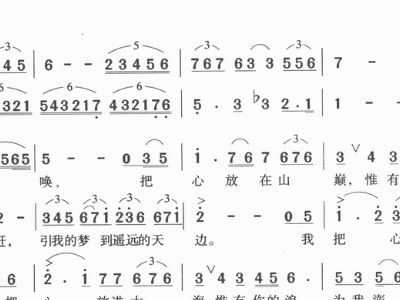 恶召唤简谱_田野在召唤简谱(3)