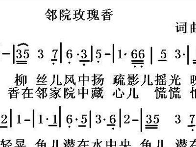 玫瑰香简谱_玫瑰香林忆莲简谱