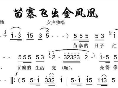 苗寨曲谱_西江千户苗寨图片(2)