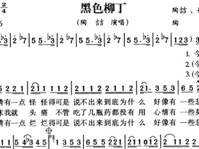 黑血症简谱_黑血症图片(3)