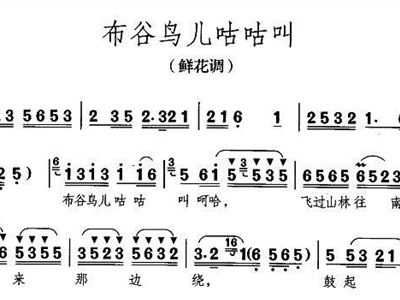 布谷鸟简谱_布谷鸟简谱歌谱