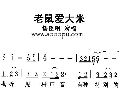 老鼠爱大米1