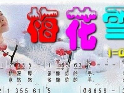 梅花雪曲谱_红墙梅花雪图片(2)