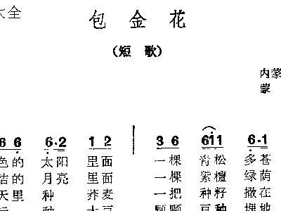 金花简谱_金花媛(3)