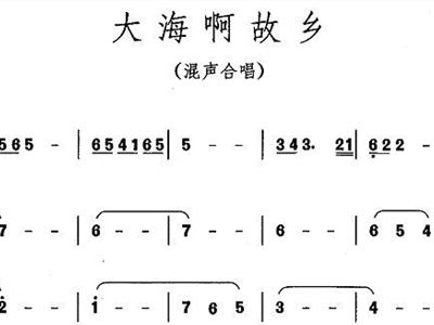 大海啊故乡g调曲谱_大海的故乡c调谱(2)