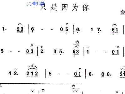 只因为你简谱_只因为你才完美头像