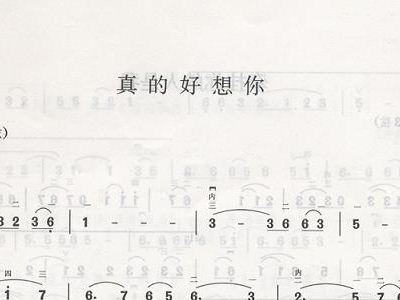 真的好想你+二胡谱,歌谱