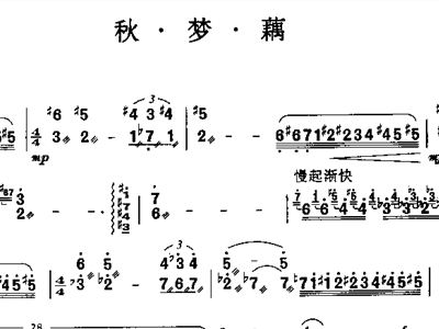 釆莲藕简谱_莲藕简笔画