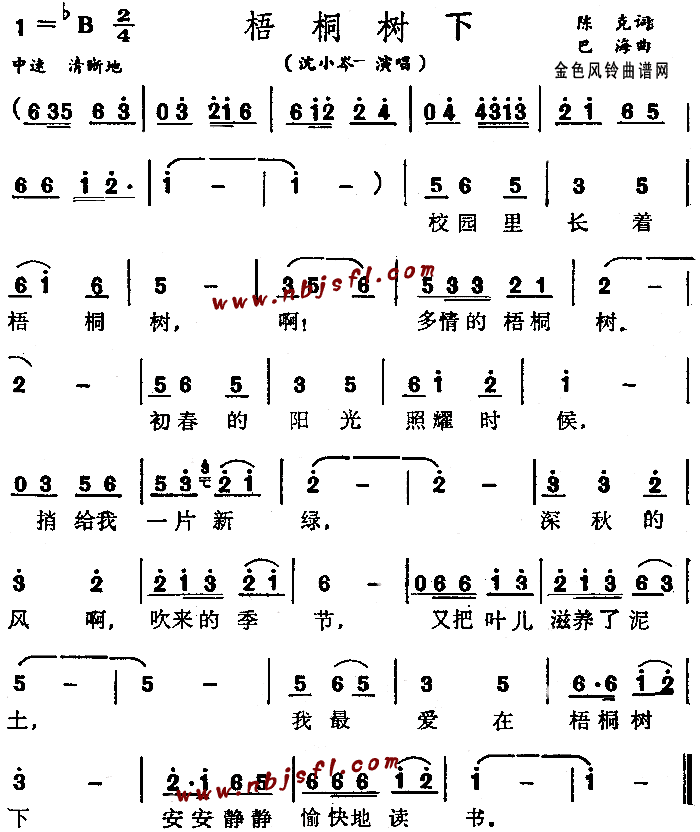 梧桐树下