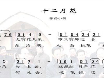 河州秧歌花儿小调曲谱_花儿头像(3)