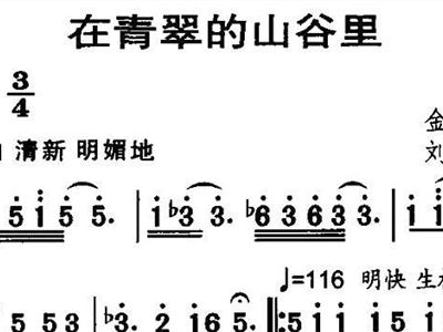 在山谷里简谱_山谷里的思念简谱(2)