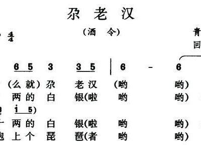 简谱尕撒拉_尕撒拉(2)