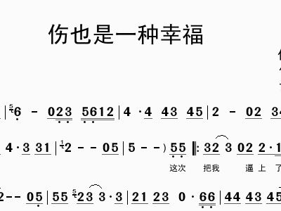 简谱无心暇_无心快语简谱(2)