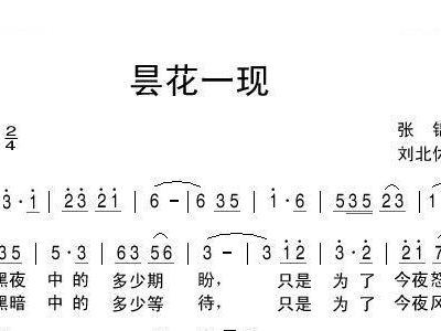 昙花曲谱_昙花简笔画