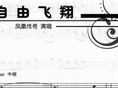 自由飞翔简谱歌谱_自由飞翔简谱(3)