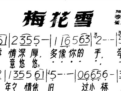 梅花雪曲谱_红墙梅花雪图片(2)