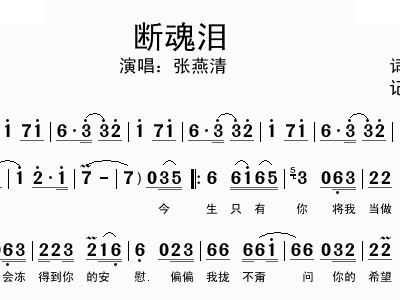 朱砂泪简谱_白月光与朱砂痣简谱(3)