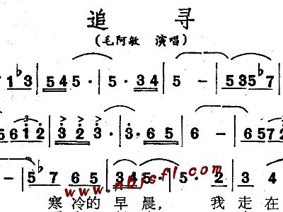 追寻简谱_追寻简谱孙楠(3)