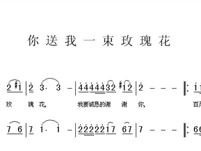 送你一束简谱_送你一束沙枣花简谱(2)