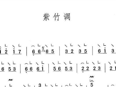 紫竹调简谱古筝_紫竹调简谱古筝二级(4)
