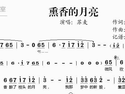 拣麦根简谱_用筷子拣一根面的图片(2)