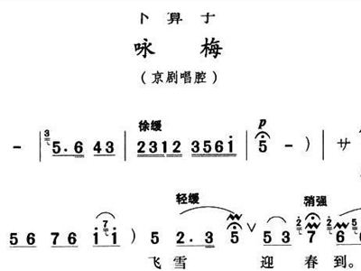 咏梅曲谱_京剧咏梅李维康曲谱(4)
