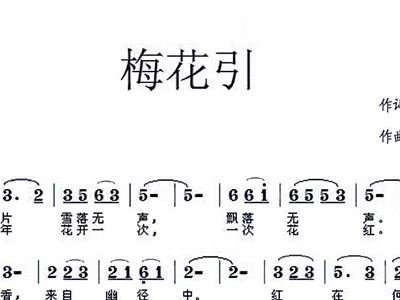 梅花引 付志勇