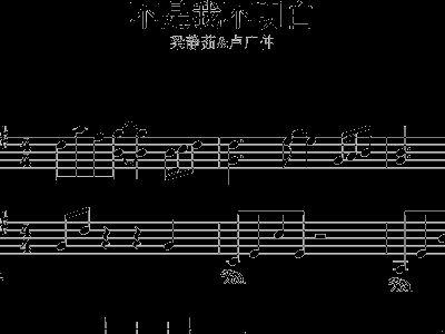 钢琴谱子空拍弹不弹-不是我不明白 欣仔改编弹唱版 梁静茹