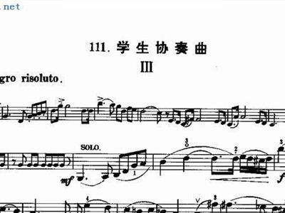 塞茨曲简谱_阿尔茨海默的爱简谱(2)