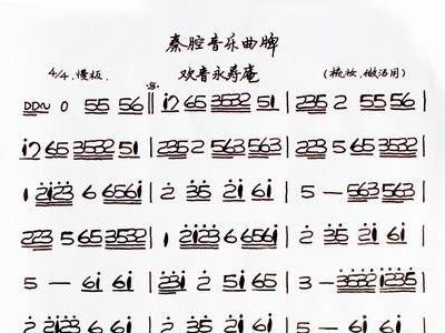 秦腔永寿庵简谱_永寿庵 秦腔曲牌