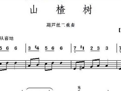 葫芦丝独奏曲谱红枣树(2)
