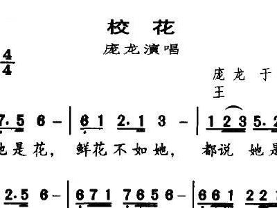 庞龙歌曲简谱_庞龙吹眼睛简谱(2)