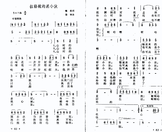 拉骆驼的黑小伙