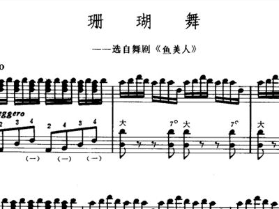 珊瑚简谱_珊瑚简笔画(3)