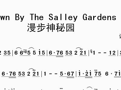 漫步神秘园简谱_漫步神秘园哨笛简谱(2)