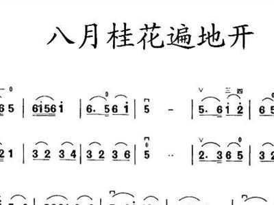 二胡独奏曲《八月桂花遍地开》曲谱(2)